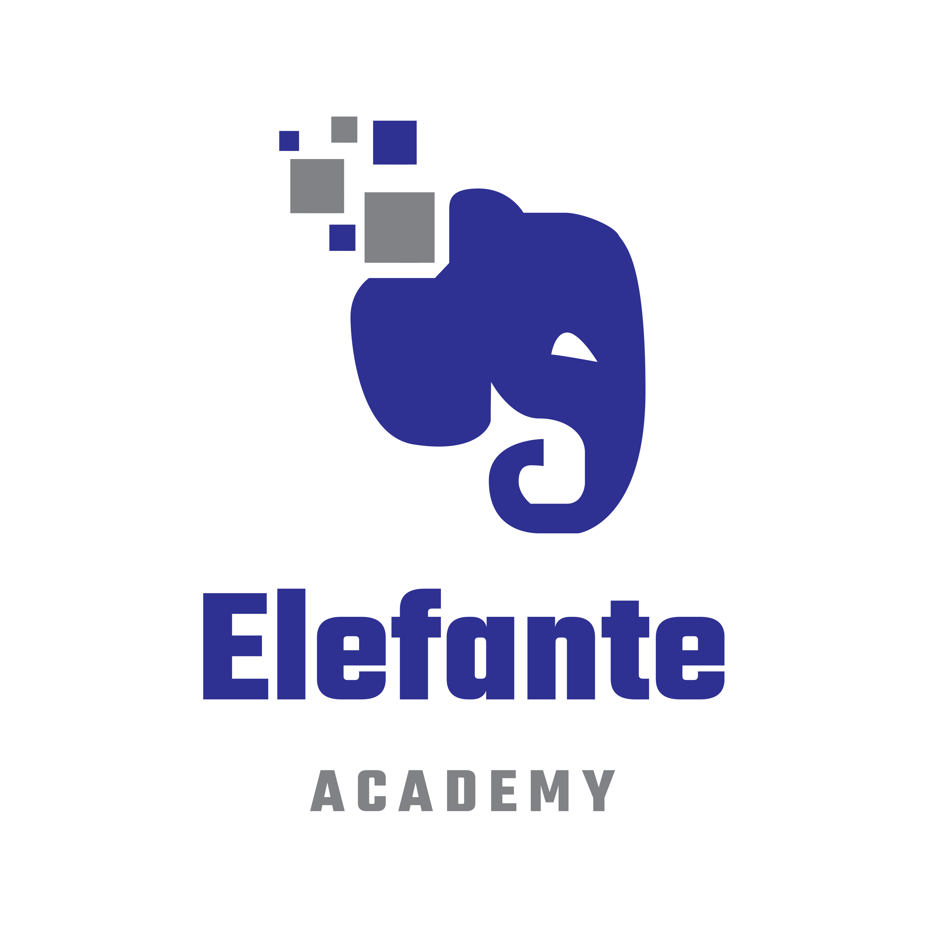 Elefante Academy